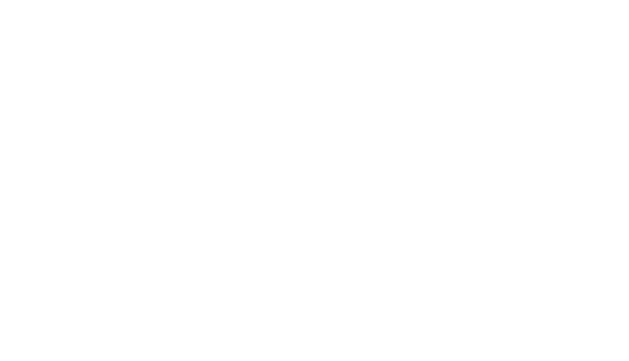 wedeaq logo vit